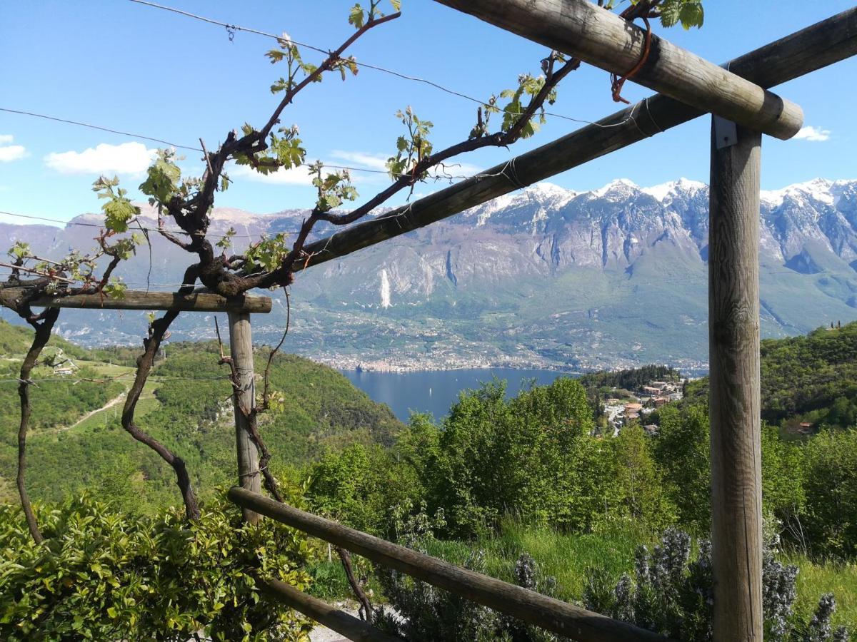 Agriturismo La Zangola Tremosine Екстериор снимка